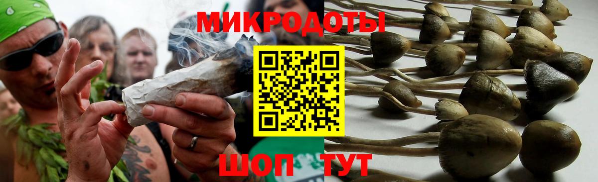 Псилоцибиновые грибы Psilocybine cubensis  Вход с VPN  Каспийск 